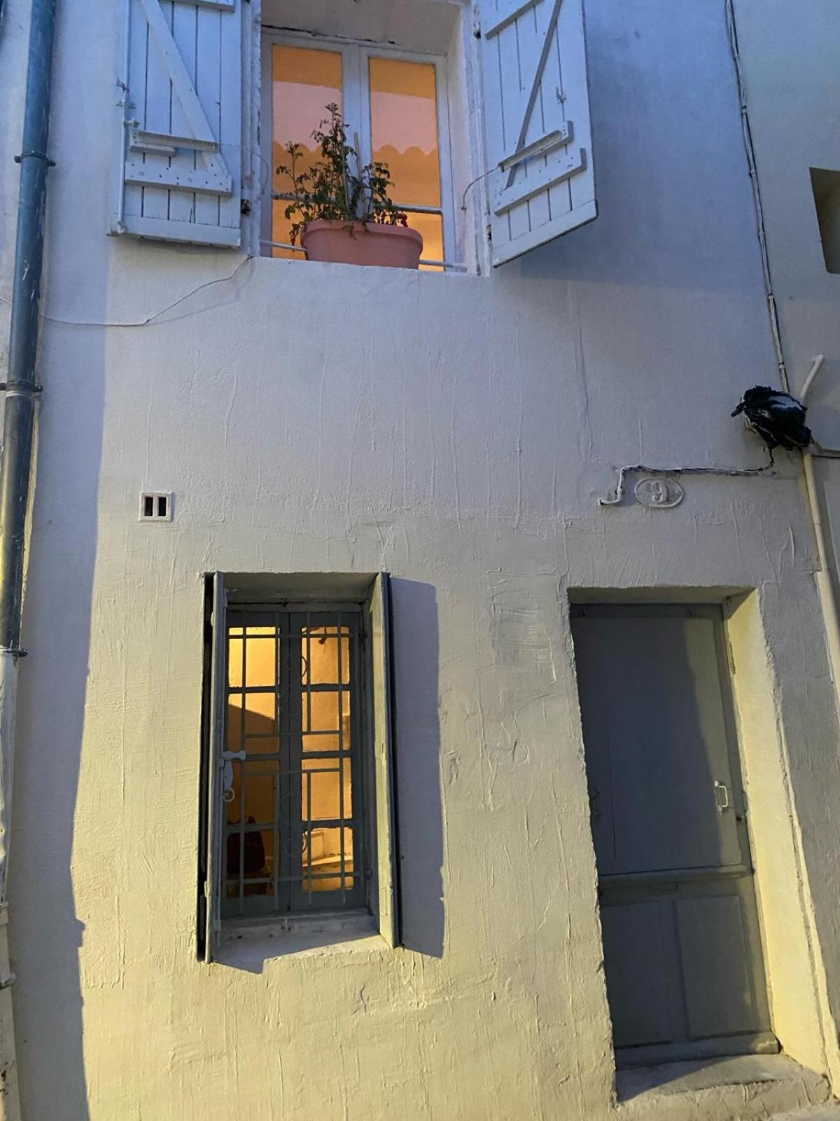 Tiny House 3 Personnes Soeursgrises Beziers Centre Historique Coeur De L'Herault Capitale D'Occitanie Exterior foto